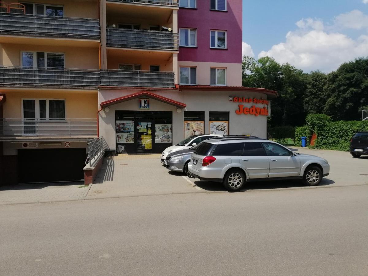 Apartament Witkiewicza Санок Екстериор снимка